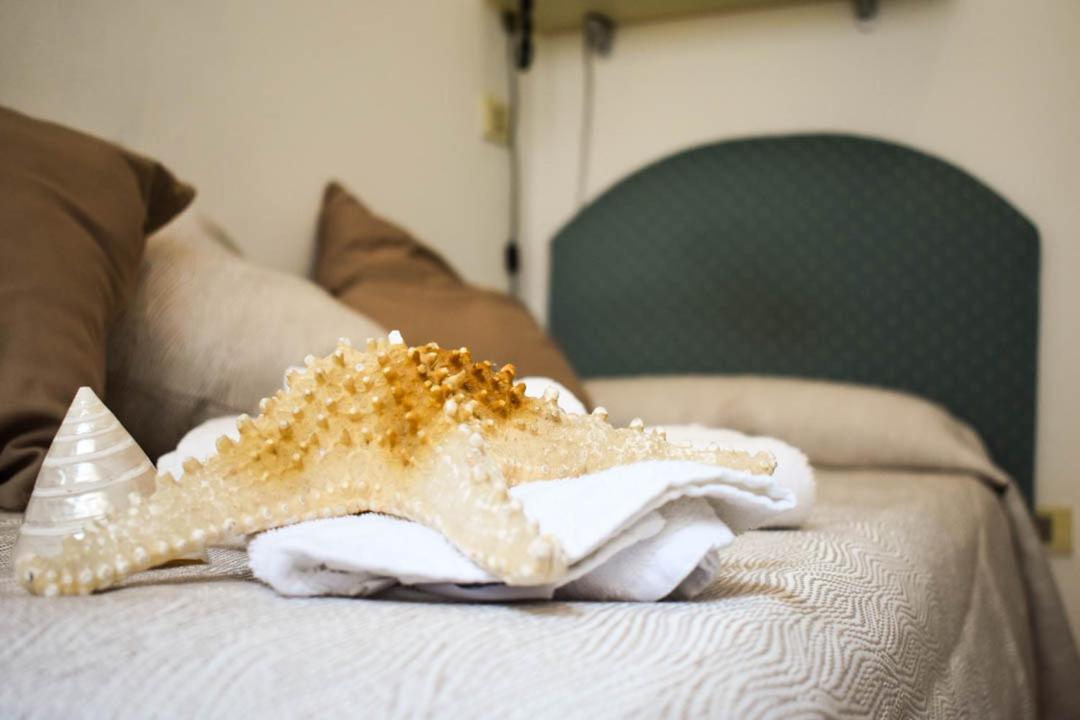 Hotel Embassy بيزارو المظهر الخارجي الصورة